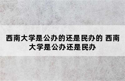 西南大学是公办的还是民办的 西南大学是公办还是民办